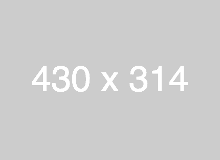 UX/UI Designing